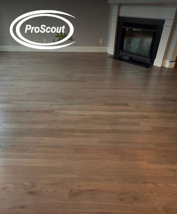 Proscout marketing case study