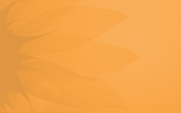 Background Pursuit of Happiness