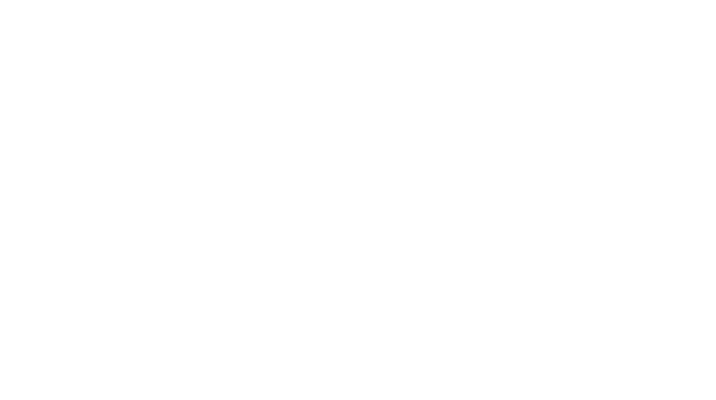 Pursuit of Happiness