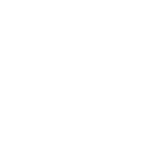 Raw Rev