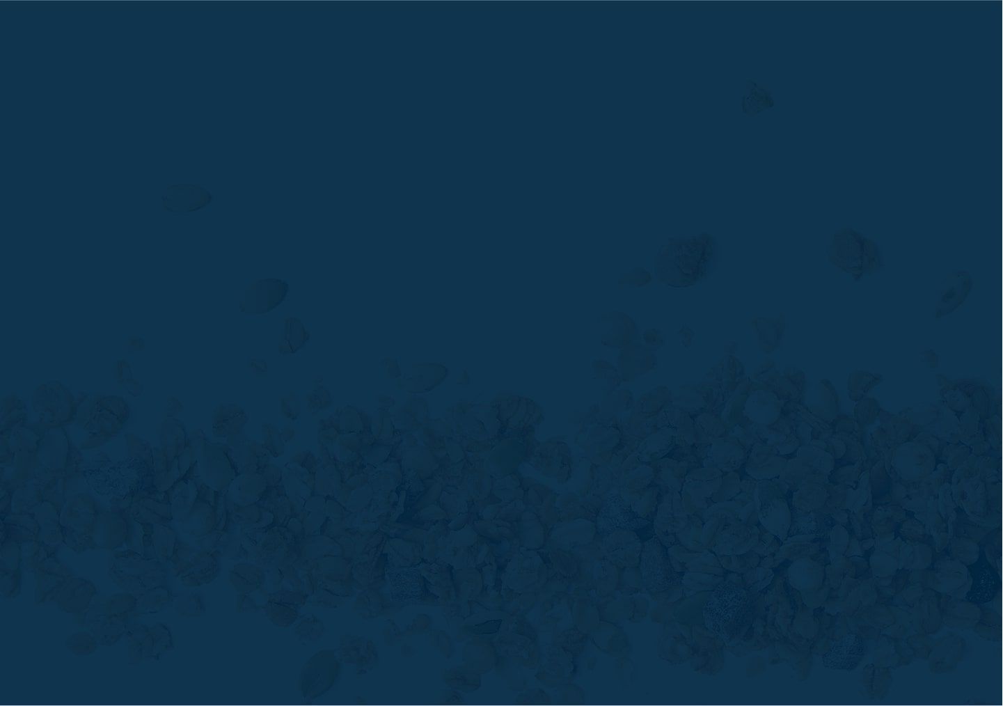 RawRev Inc result background