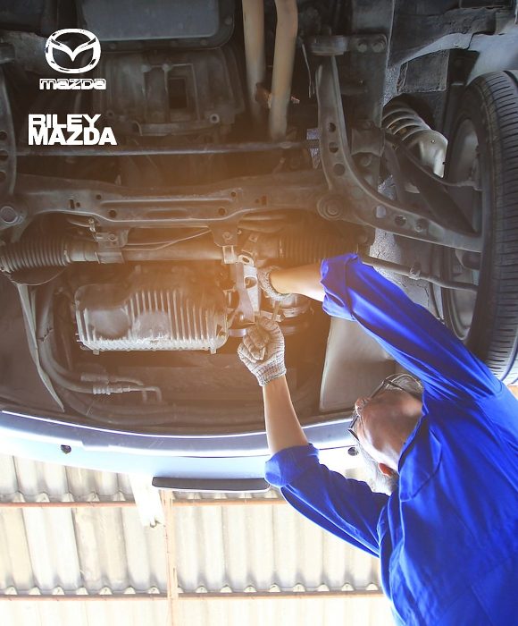 Riley Mazda case study