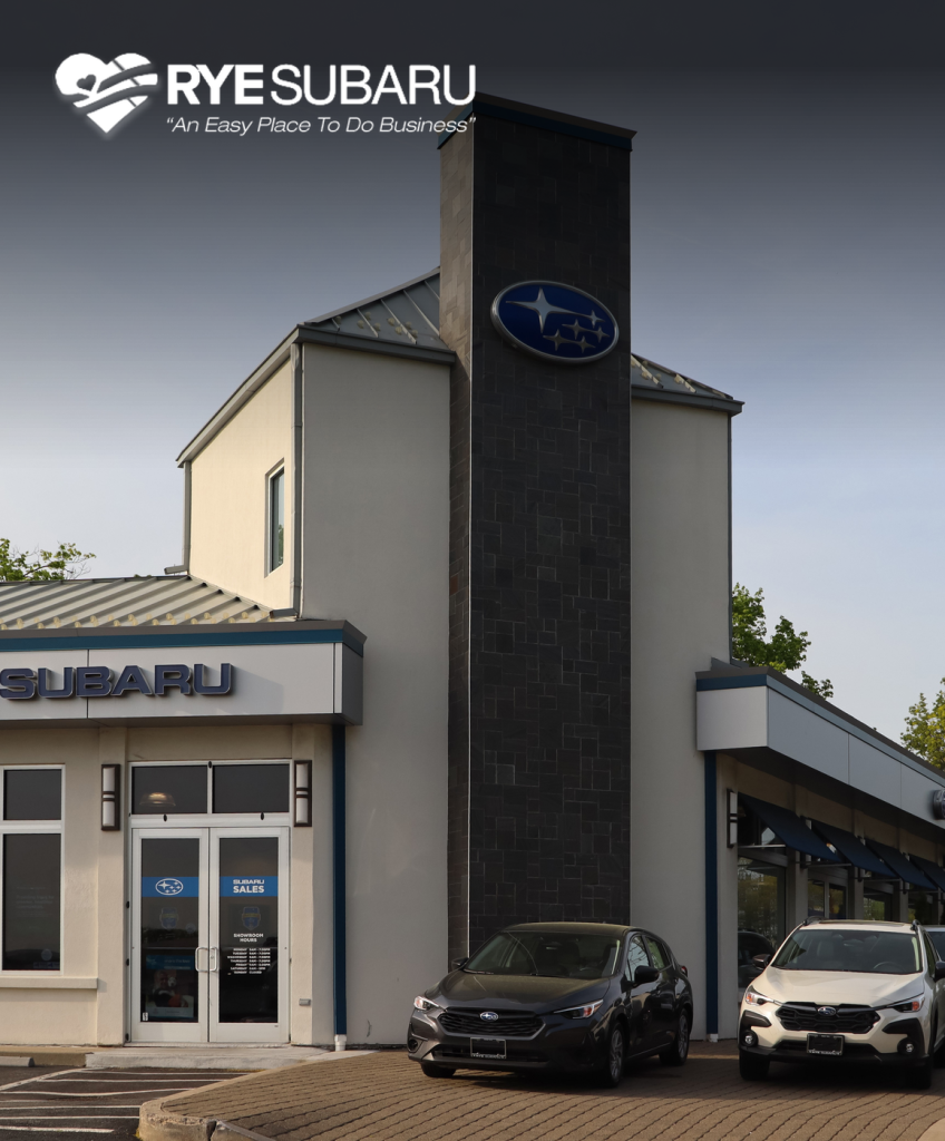 Rye Subaru marketing case study