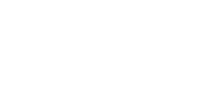 Secure Van Lines logo