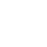Shinji Lee MD
