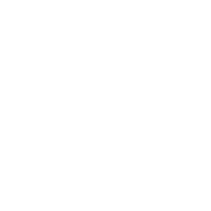Shinji Lee MD logo