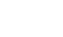 Specialty Dog Training