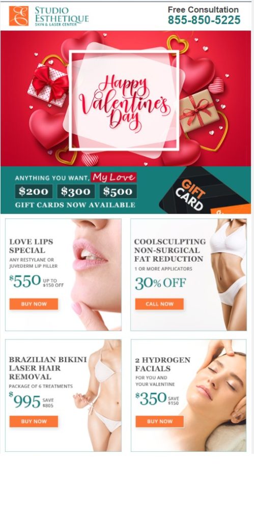 Studio Esthetique email campaign