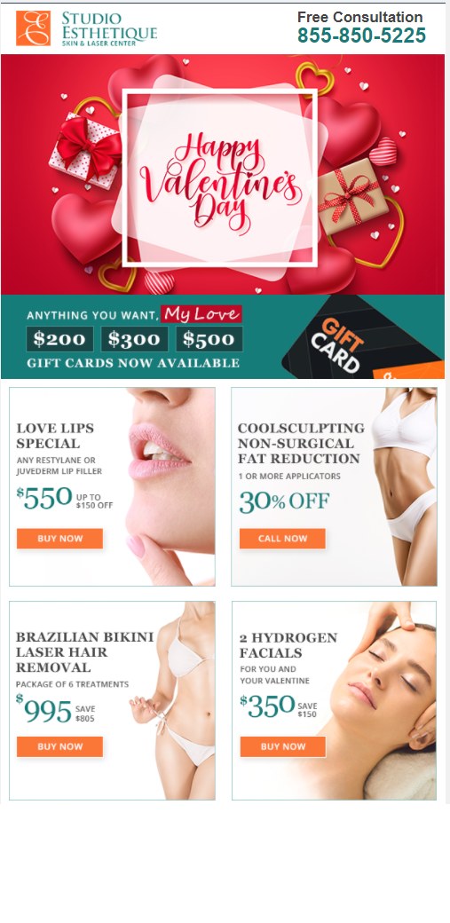 Valentine's Day email we designed and sent in Mailchimp for Studio Esthetique