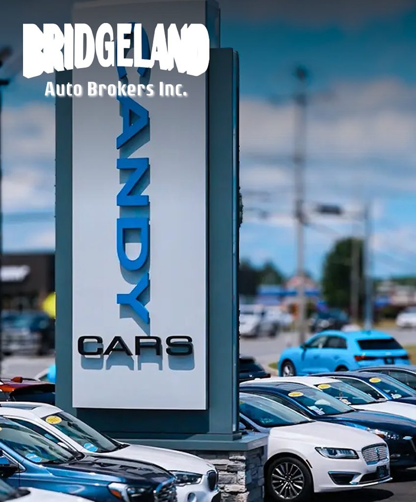 Syracuse Cars marketing case study