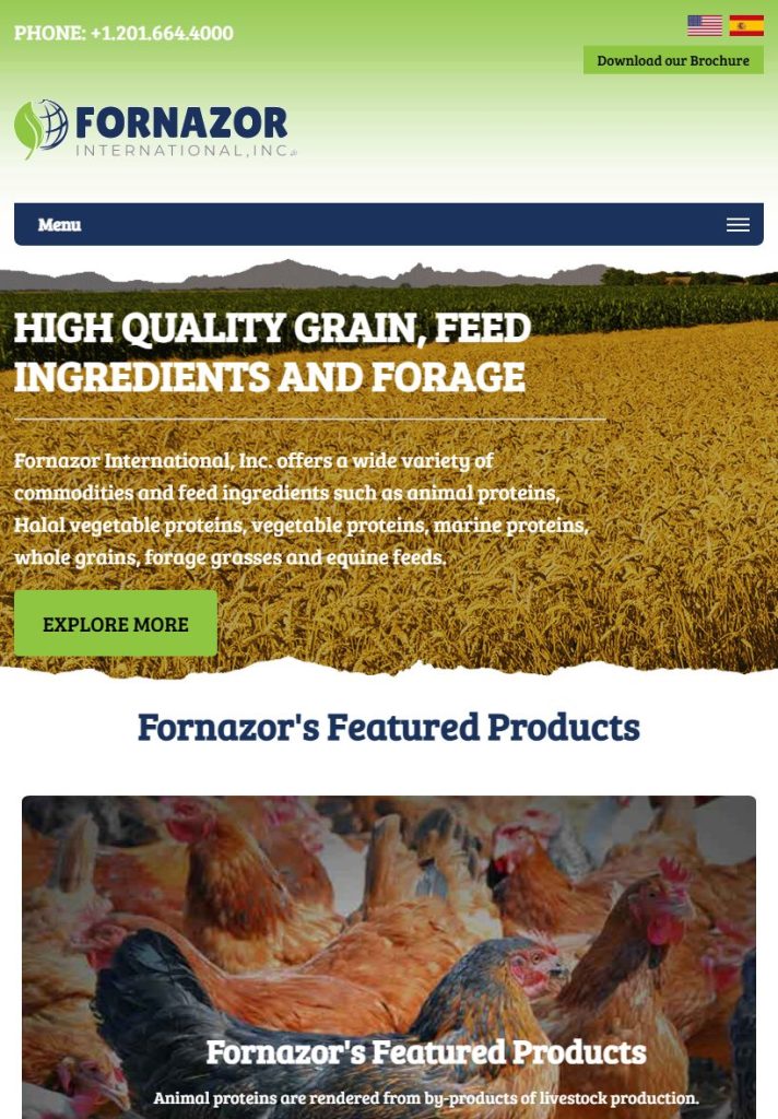 Fornazor International homepage on a tablet