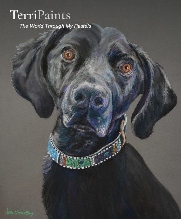 Terri Paints marketing case study
