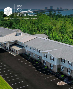The Camellia at Gulf Breeze marketing case study
