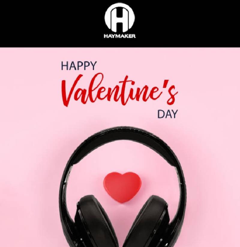 The Haymaker Ecommerce Campaign