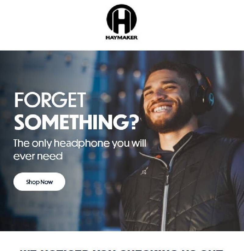 The Haymaker Ecommerce Flow