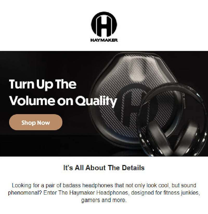 The Haymaker Ecommerce Flow