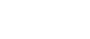 The Light Walk Shoes logo