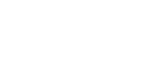 The Light Walk Shoes