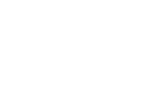 The Midwives Childbirth Services logo