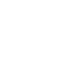 The Midwives Childbirth Services