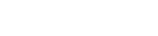 The N2 Company