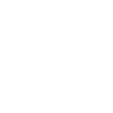 The Park Day Slope Camp