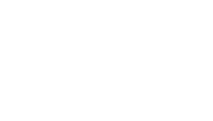 The Summit