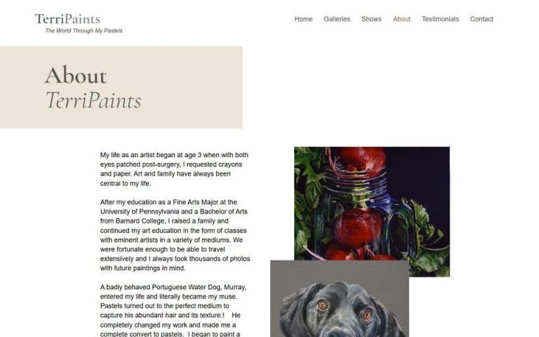 Terri Paints: About the Artist