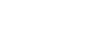 Top Flight Automotive logo