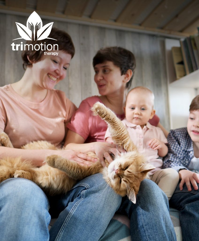Trimotion Therapy marketing case study
