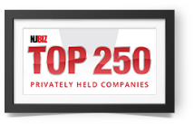 Nubiz Top 250