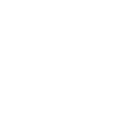 TSF Academy