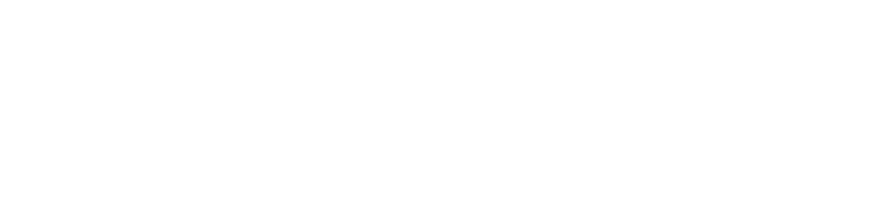 Visiting Angels