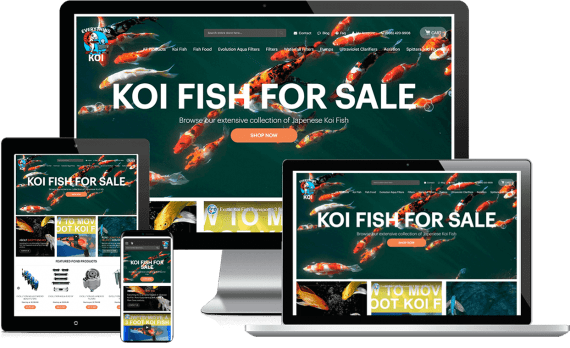 Everything Koi Web Design Retail