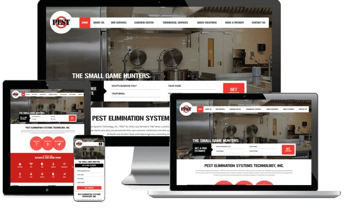 Custom website design for pest elimination