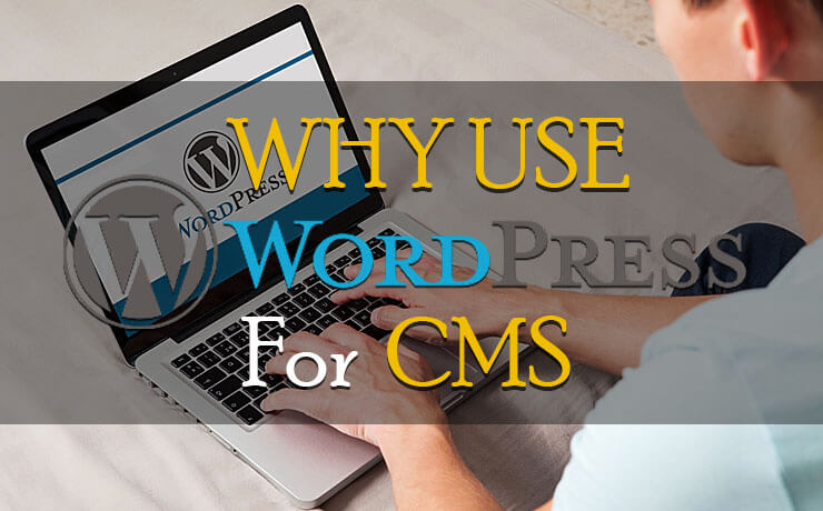 Why Use WordPress For CMS?
