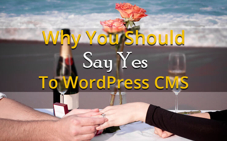 Why You Should Say Yes To WordPress CMS