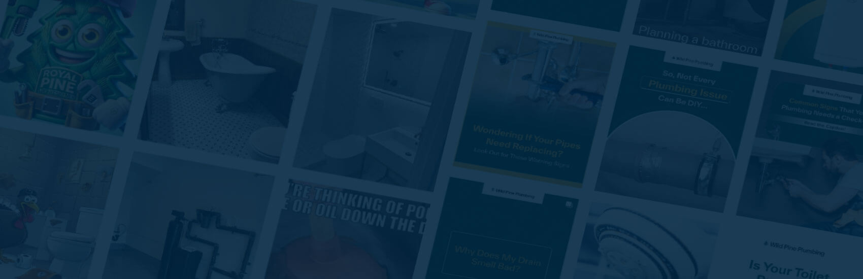 Wild Pine Plumbing Marketing, Home Services Social Media work