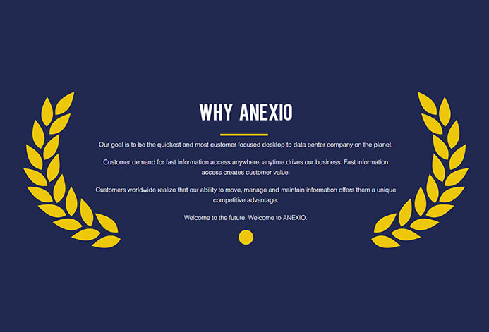 Anexio WordPress Website