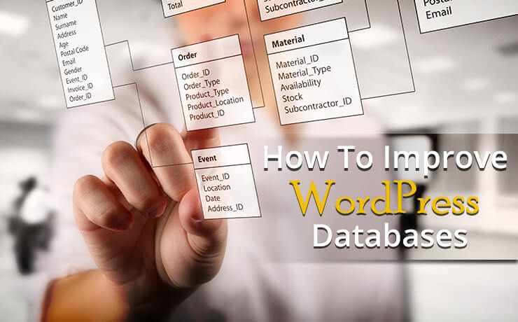 WordPress databases