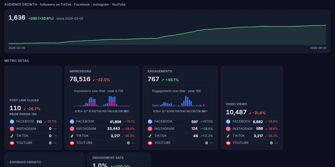 Client Hub Social Media report: audience growth chart across TikTok, Facebook, Instagram and YouTube, with impressions, engagements and video views split by network