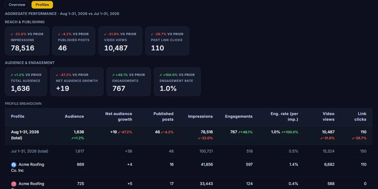 Client Hub Social Media report, Profiles view: audience, posts, impressions and engagement per profile